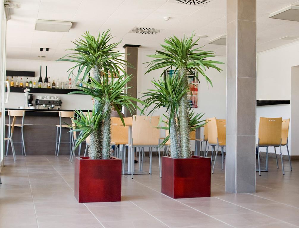 Grupoandria Hotel Platja Gran Ciutadella  Buitenkant foto